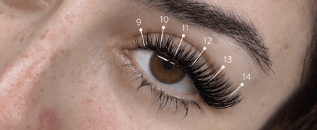 Cat Eye, Wet Set lash map