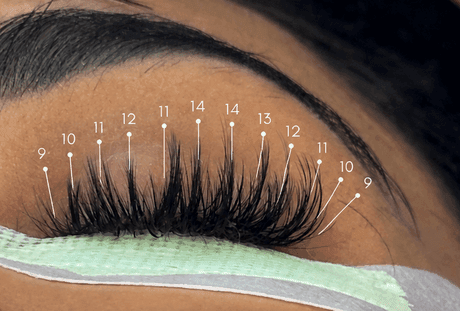Kitten Eye, Whispy lash map